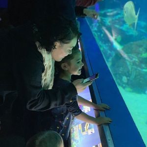 Meet your Posher, Maddy